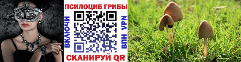 Галлюциногенные грибы прущие грибы  где купить   shop какой сайт  Уфа 